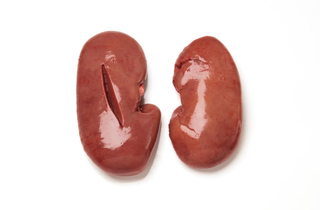 Pork Kidneys