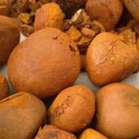 Cow gallstones