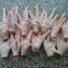 62c4019e8368bHalal-Frozen-Turkey-Paws-qs299wa79z3his9ro7sv3p6tdvqrnr2j4qd33fq35c