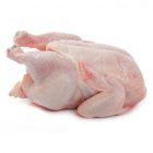 62c4065ff220bHalal-Frozen-Whole-Turkey-qs28xd3o5hxupyh4usrxuv1k8xil11bdep80qmb240
