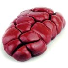 Beef Kidney
