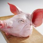 Pork Head