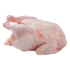 Frozen-Whole-Chicken-qs9722961qozgkncqmobw234l4i3bkcfrtk45cy834