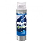 gillette_tgs_gel_sensitive_200ml_fmcg_import